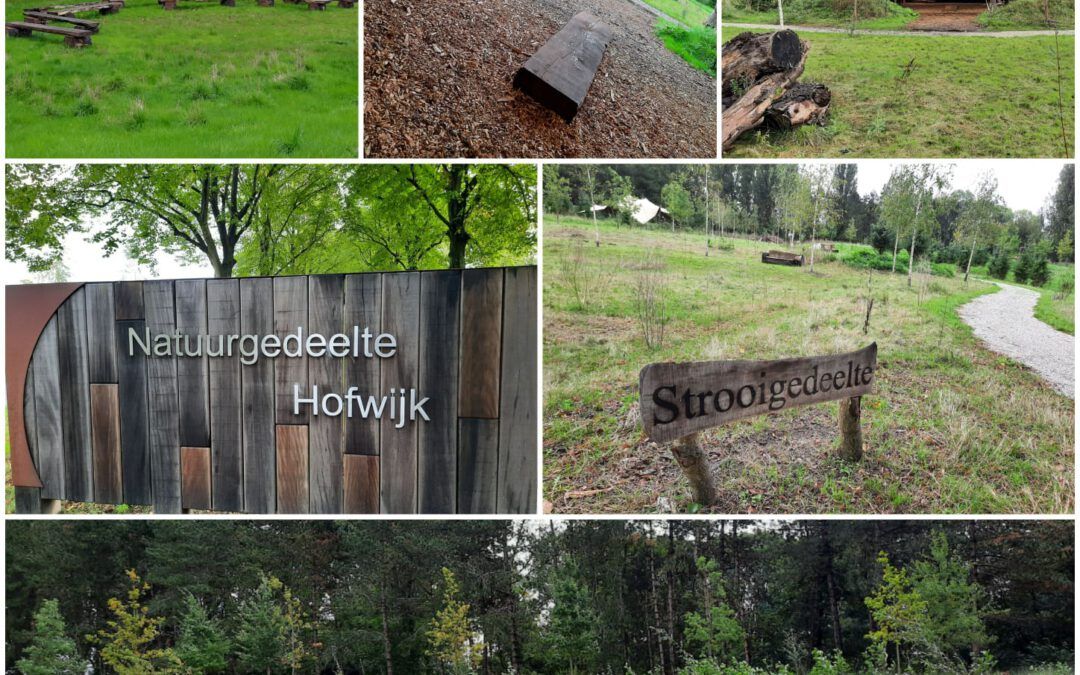Zoek je eigen plekje uit op natuurbegraafplaats Hofwijk